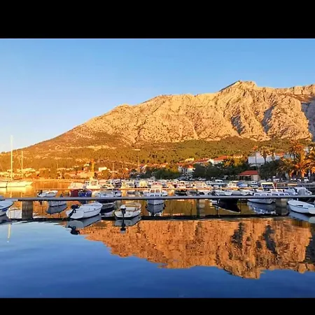 Clementina Sunrise *